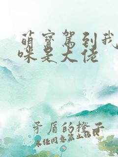 萌宝驾到我的妈咪是大佬