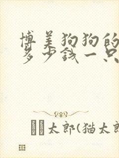 博美狗狗的价格多少钱一只