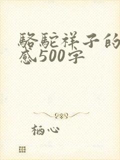 骆驼祥子的读后感500字