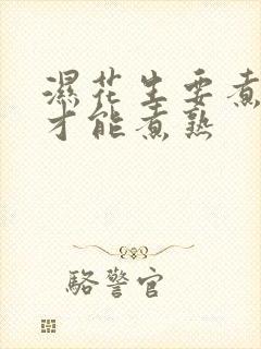湿花生要煮多久才能煮熟
