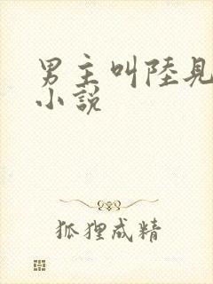 男主叫陆见深的小说