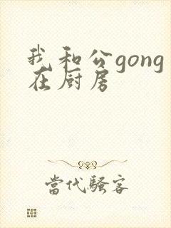我和公gong在厨房