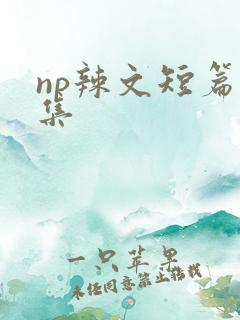 np辣文短篇合集