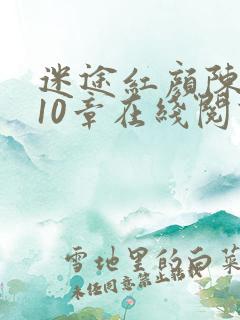 迷途红颜陈梦洁10章在线阅读