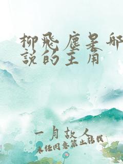 柳飞尘是哪部小说的主角