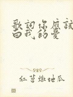歌词你应该会明白我的爱