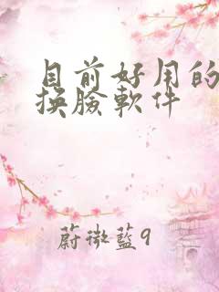 目前好用的ai换脸软件