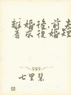 离婚后,前夫哭着求复婚短剧