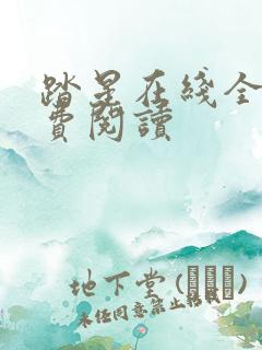 踏星在线全本免费阅读