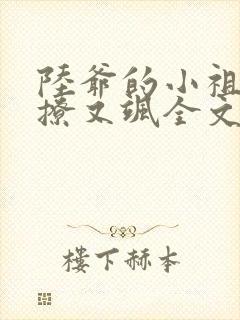 陆爷的小祖宗又撩又飒全文阅读