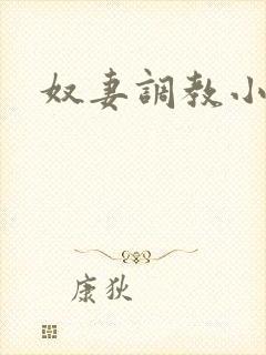 奴妻调教小说h