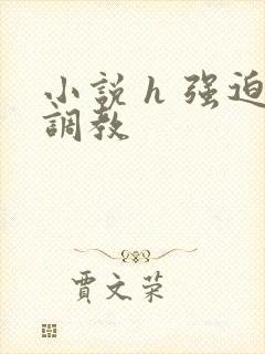 小说 h 强迫调教