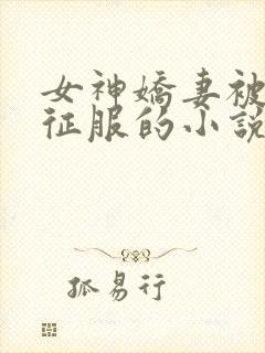 女神娇妻被无赖征服的小说