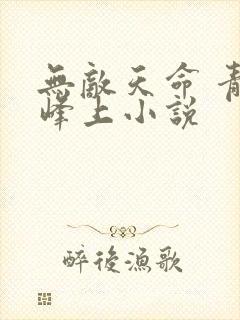 无敌天命 青鸾峰上小说