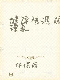 健脾祛湿 疏肝理气