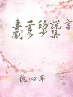 妻子的谎言电视剧多少集