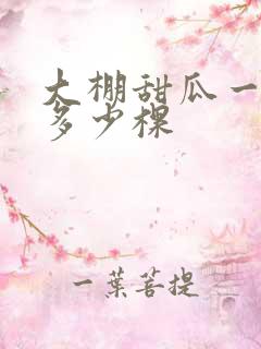 大棚甜瓜一亩栽多少棵