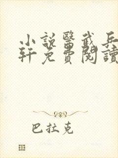 小说医武兵王陆轩免费阅读
