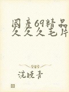 国产69精品久久久久毛片 国产69精品久久久久毛片