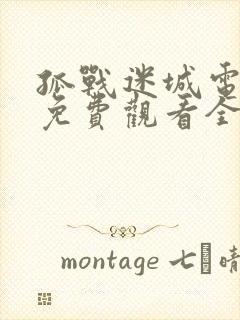 孤战迷城电视剧免费观看全集高清