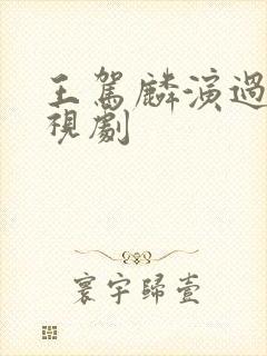 王驾麟演过的电视剧