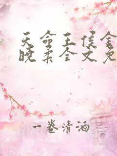 天命王侯金锋关晓柔全文免费阅读
