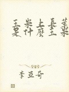 玉米上长叶子的是什么玉米种 玉米上长叶子的是什么玉米种