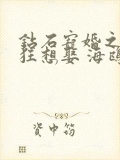 钻石宠婚之妙妻狂想娶 海鸥