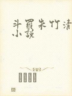 斗罗朱竹清女主小说