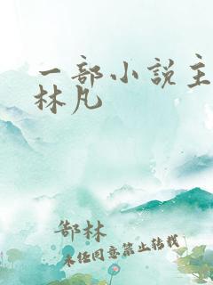 一部小说主角叫林凡