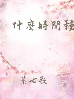 什么时间种黄瓜 什么时间种黄瓜