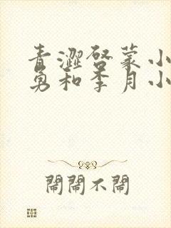 青涩启蒙小说张勇和李月小说