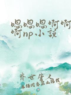 嗯嗯嗯啊啊啊啊啊np小说