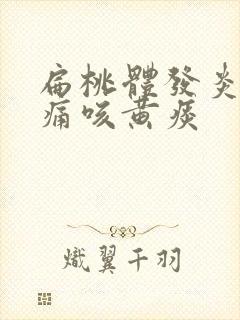 扁桃体发炎喉咙痛咳黄痰
