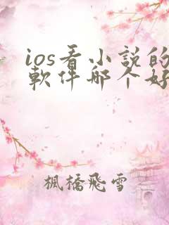 ios看小说的软件哪个好