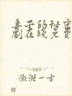 妻子的秘密电视剧在线免费观看