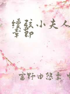 续弦小夫人全部章节