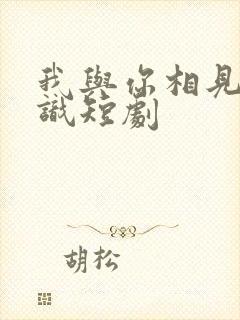我与你相见不相识短剧