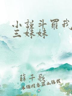 小说斗罗我是唐三妹妹