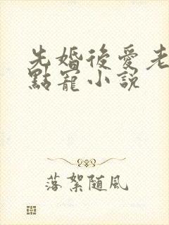 先婚后爱老公轻点宠小说