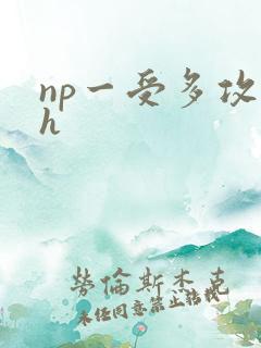 np一受多攻高h