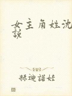 女主角姓沈的小说