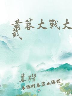 黄蓉大战大武小武