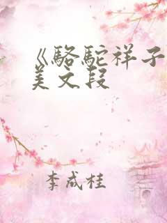 《骆驼祥子》优美文段