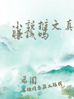 小说推文真的能赚钱吗