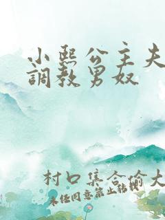 小熙公主夫妻主调教男奴