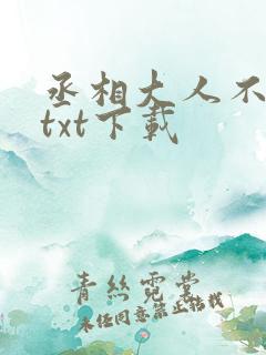 丞相大人不好撩txt下载