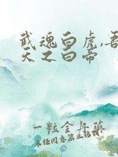 武魂白虎,吾乃天之白帝