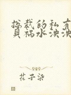 总裁的私有小宝贝祸水泱泱