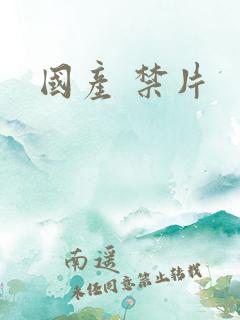 国产 禁片
